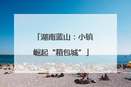 湖南蓝山：小镇崛起“箱包城”