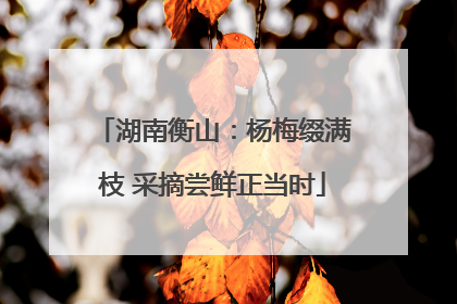 湖南衡山：杨梅缀满枝 采摘尝鲜正当时