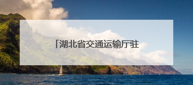 湖北省交通运输厅驻村工作队：“铁脚板”书写龙凤村幸福答卷