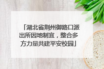 湖北省荆州御路口派出所因地制宜，整合多方力量共建平安校园