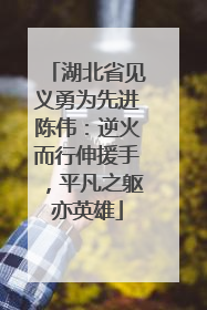 湖北省见义勇为先进陈伟：逆火而行伸援手，平凡之躯亦英雄