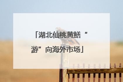 湖北仙桃黄鳝“游”向海外市场