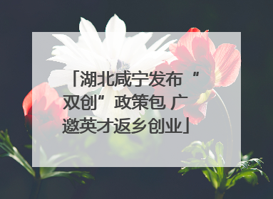 湖北咸宁发布“双创”政策包 广邀英才返乡创业