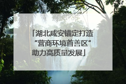 湖北咸安锚定打造“营商环境首善区”助力高质量发展