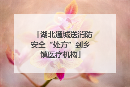 湖北通城送消防安全“处方”到乡镇医疗机构