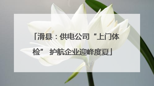 滑县：供电公司“上门体检” 护航企业迎峰度夏