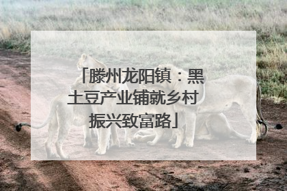 滕州龙阳镇：黑土豆产业铺就乡村振兴致富路