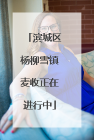 滨城区杨柳雪镇麦收正在进行中