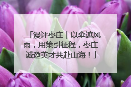 漫评枣庄｜以伞遮风雨，用策引征程，枣庄诚邀英才共赴山海！