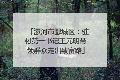 漯河市郾城区：驻村第一书记王元明带领群众走出致富路