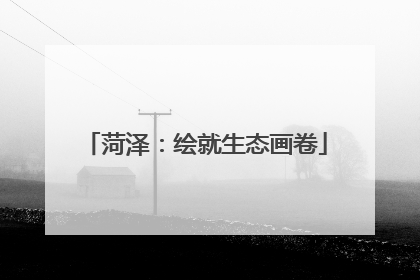 菏泽：绘就生态画卷