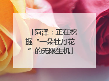 菏泽：正在挖掘“一朵牡丹花”的无限生机