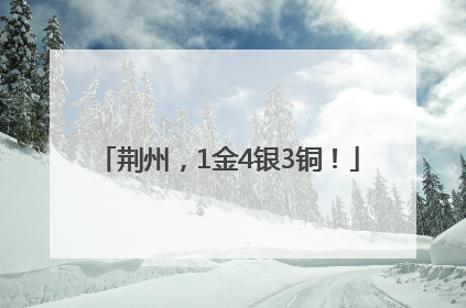 荆州，1金4银3铜！