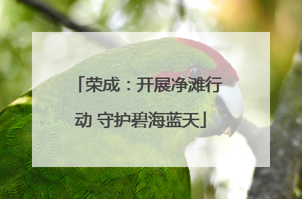 荣成：开展净滩行动 守护碧海蓝天
