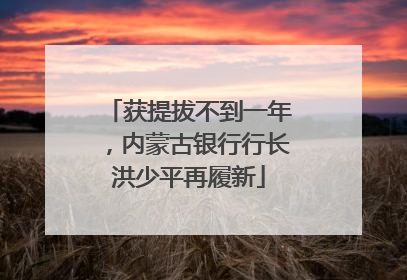 获提拔不到一年，内蒙古银行行长洪少平再履新