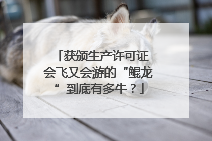 获颁生产许可证 会飞又会游的“鲲龙”到底有多牛？