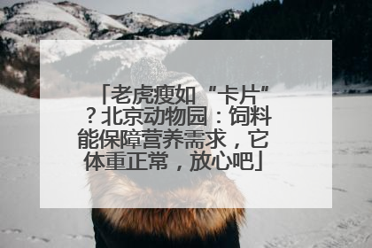 老虎瘦如“卡片”？北京动物园：饲料能保障营养需求，它体重正常，放心吧