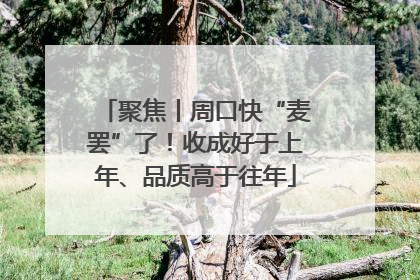 聚焦丨周口快“麦罢”了！收成好于上年、品质高于往年