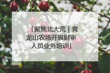 聚焦北大荒｜青龙山农场开展财审人员业务培训
