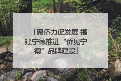 聚侨力促发展 福建宁德推进“侨见宁德”品牌建设