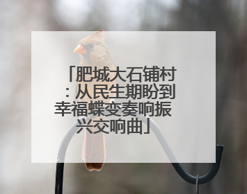 肥城大石铺村：从民生期盼到幸福蝶变奏响振兴交响曲