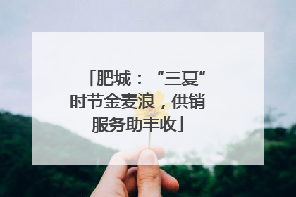 肥城：“三夏”时节金麦浪，供销服务助丰收