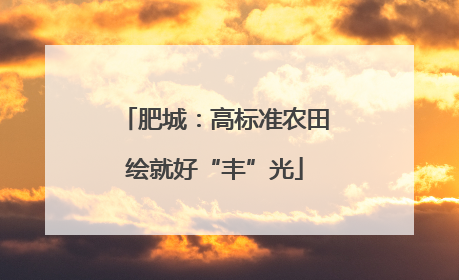 肥城：高标准农田绘就好“丰”光