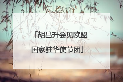 胡昌升会见欧盟国家驻华使节团
