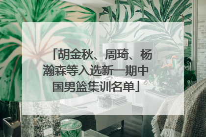 胡金秋、周琦、杨瀚森等入选新一期中国男篮集训名单