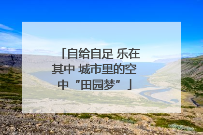 自给自足 乐在其中 城市里的空中“田园梦”