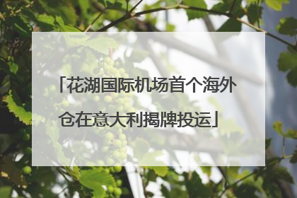 花湖国际机场首个海外仓在意大利揭牌投运