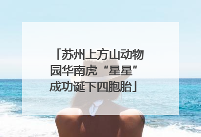 苏州上方山动物园华南虎“星星”成功诞下四胞胎