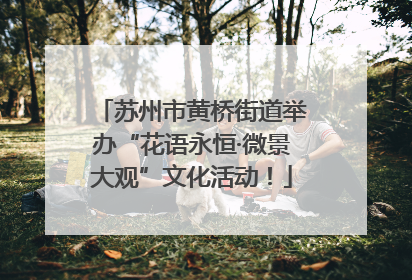 苏州市黄桥街道举办“花语永恒·微景大观”文化活动！