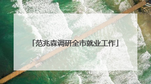 范兆森调研全市就业工作