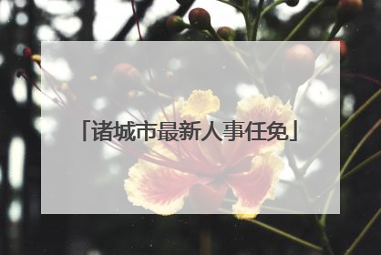 诸城市最新人事任免