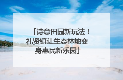 诗意田园新玩法！礼贤镇让生态林地变身惠民新乐园
