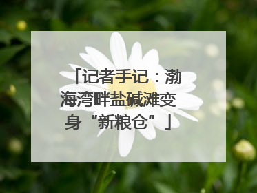 记者手记：渤海湾畔盐碱滩变身“新粮仓”