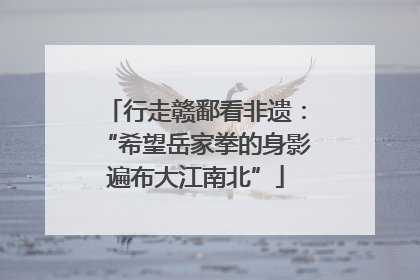 行走赣鄱看非遗：“希望岳家拳的身影遍布大江南北”