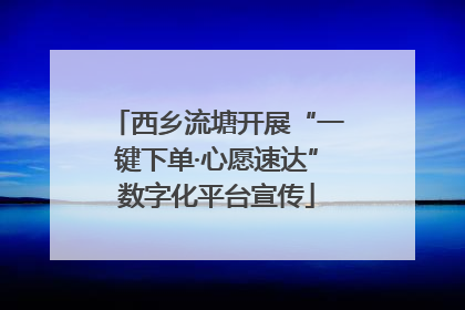 西乡流塘开展“一键下单·心愿速达”数字化平台宣传