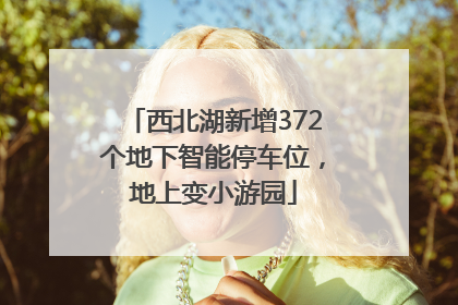 西北湖新增372个地下智能停车位，地上变小游园