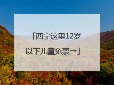 西宁这里12岁以下儿童免票→