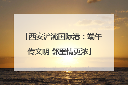 西安浐灞国际港：端午传文明 邻里情更浓