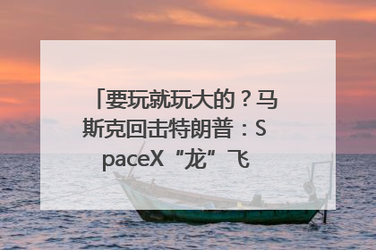 要玩就玩大的？马斯克回击特朗普：SpaceX“龙”飞船将立即退役！