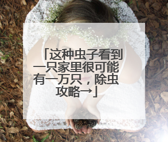 这种虫子看到一只家里很可能有一万只，除虫攻略→