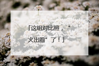 这组对比照，“火出圈”了！