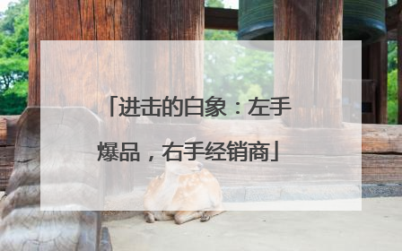 进击的白象：左手爆品，右手经销商