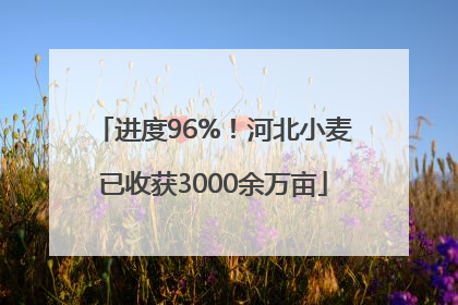 进度96%！河北小麦已收获3000余万亩