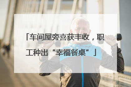车间屋旁喜获丰收，职工种出“幸福餐桌”