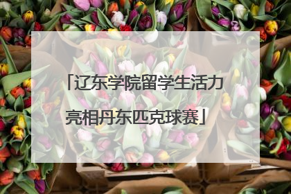 辽东学院留学生活力亮相丹东匹克球赛