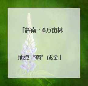 辉南：6万亩林地点“药”成金